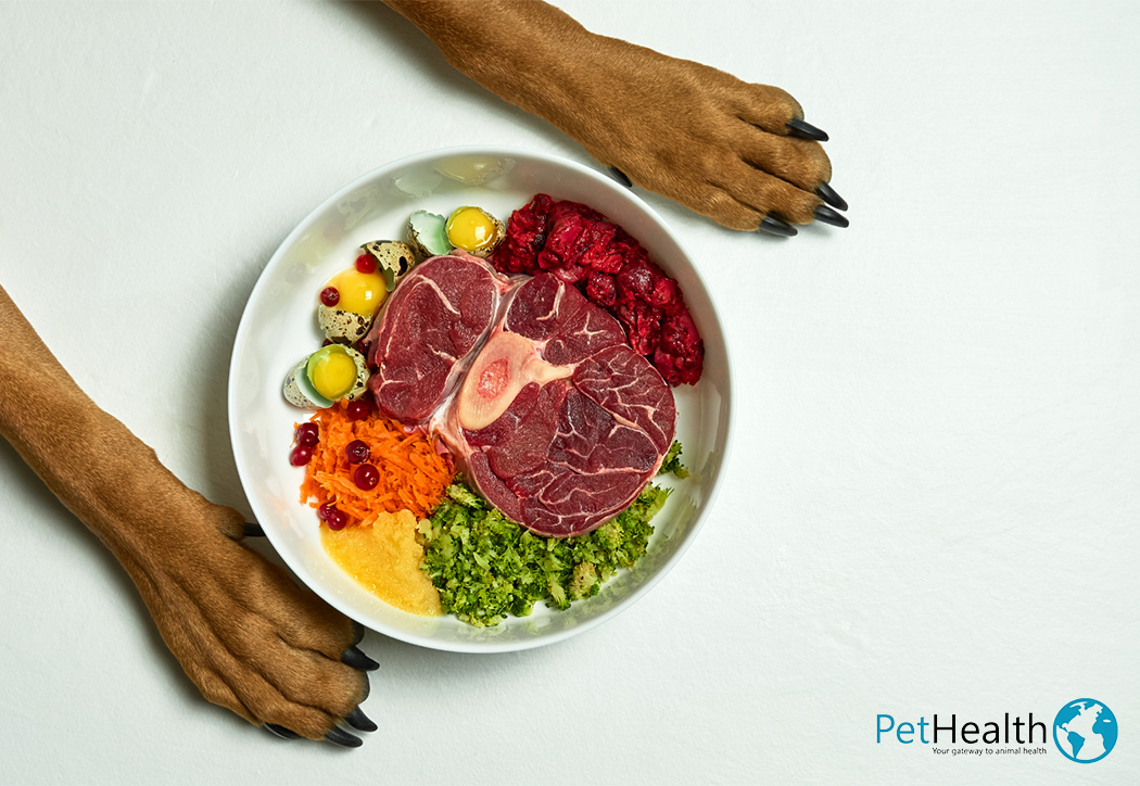 Feed Your Pet a High-Quality Pet Diet